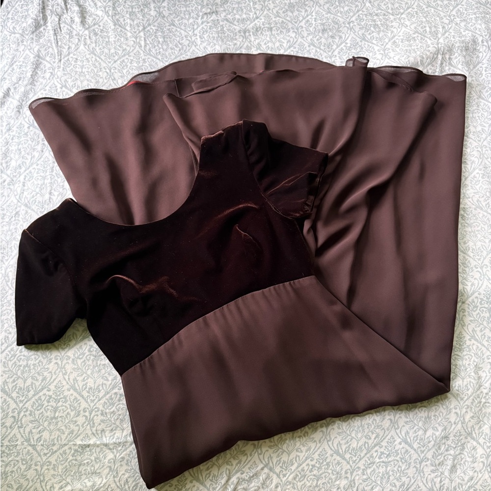 Michelangelo Vintage Elegant Velvet Brown Women's Dress